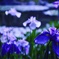 IMG_20170615_221900_590