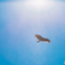大空