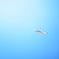 青空×飛行機。