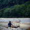 岐阜長良川鵜飼