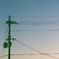 07650025