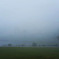 Foggy day