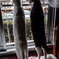 愛猫2