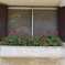 Balcony and Red Flowers