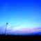 茶畑の夕暮れ