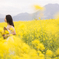 菜の花ポートレート