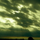 DSC00303