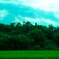 DSC00296