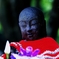 命の赤色　夏