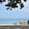 夏海