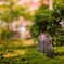 ほっこり地蔵さん