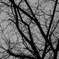 R0019801