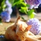 紫陽花と猫