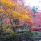 foliage season