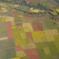 colorful field in Burma