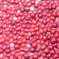 Cranberry in Richmond,BC,Canada