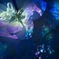 水中花