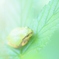 微睡み