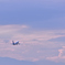 大空へ！