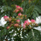 Silk Flower
