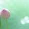 雨上がりの光