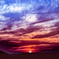 沈む夕日