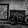Shinjuku Street  Ⅱ