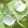夏の朝だけの虫めがね