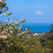 春富士山