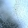 雨の休日