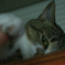 ふっ　その程度か・・・