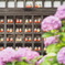 綺麗に整頓