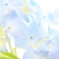 水彩ダンシング♪