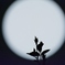 月満ちて影と戯れ　２