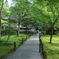大原三千院①