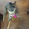 絶〜対離さんぞー！！