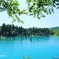 北海道美瑛町の青い池