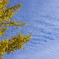 秋空