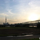 荒川 土手 風景
