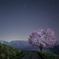 北アルプスと桜の星景写真