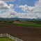 農場