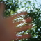 35℃