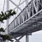 橋