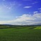 青 ＋ 緑 ＝ 北海道