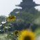 俺、頑張ったよ・・・