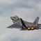 RIAT 2017：F22A