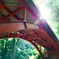 赤の架け橋