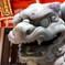 狛犬？