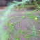 2017-07-22-12-28-55