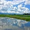 暑中見舞い申し上げますⅡ